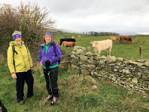 Ullswater Way